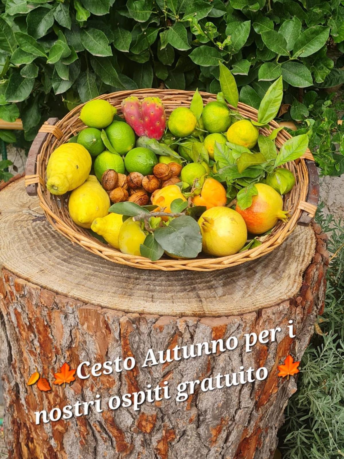 B&B Casa Vacanza Cioffi Vico Equense Exterior foto
